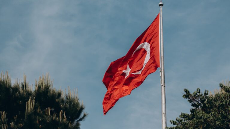Νέα πρόκληση της Τουρκίας με αφορμή τη Γενοκτονία των Ποντίων – Επιτίθεται στην Ελλάδα με αναφορές για «ωμότητες» του ελληνικού στρατού – Ο εμπνευστής της “Γαλάζιας Πατρίδας” τα βάζει και με τον Ανδρουλάκη