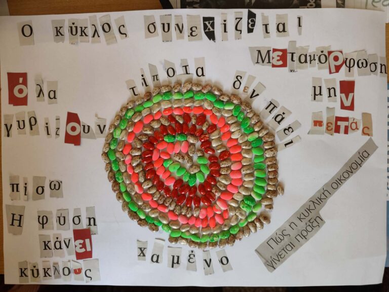 Το Πανελλήνιο Βραβείο Πρωτοτυπίας Κυκλικής Οικονομίας στο Δημοτικό Σχολείο Παλαιοχώρας