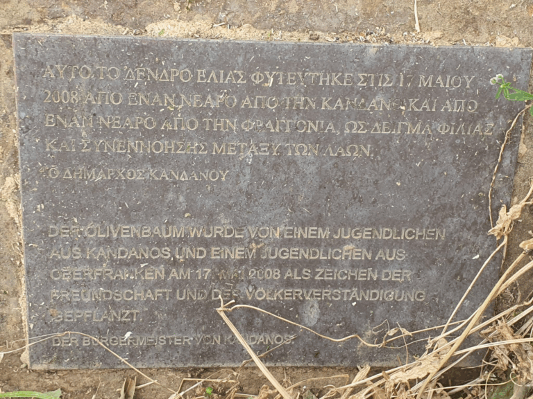 Ευτ. Κουκουτσάκης: Μια ελιά στα Φλώρια που δεν πρέπει να μένει κρυμμένη