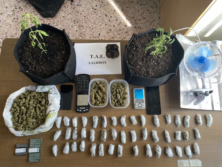 Συνελήφθησαν δύο νεαροί στο Λασίθι με σχεδόν 600 γραμμάρια κάνναβης και υδροπονική καλλιέργεια