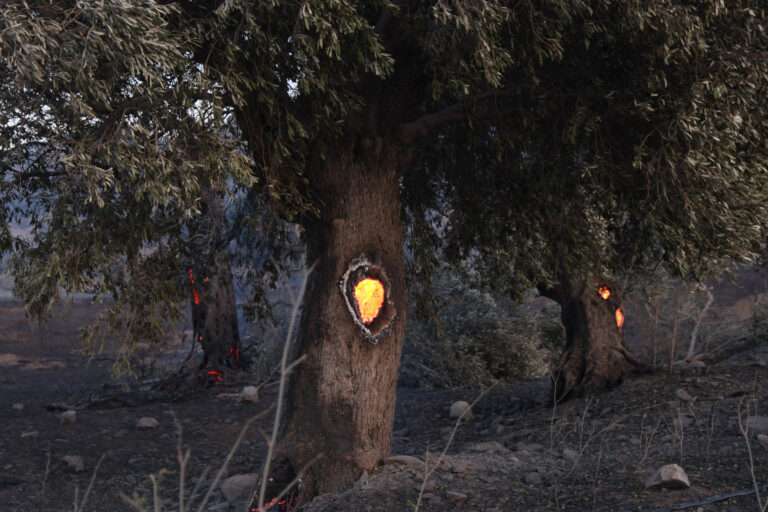 Δήμαρχος Αγίου Βασιλείου: Υπάρχουν υπόνοιες για εμπρησμό – Ο δράστης πρέπει να λογοδοτήσει