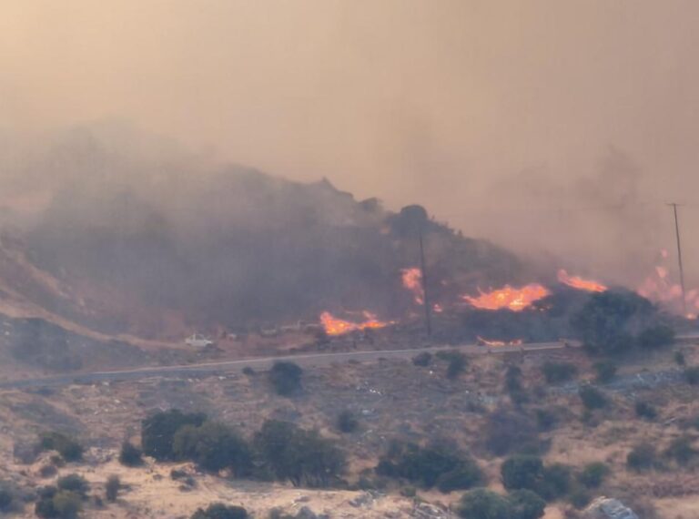 Απολογισμός δέκα ημέρες μετά τη μεγάλη πυρκαγιά στον Δήμο Αγίου Βασιλείου: Από την αντιμετώπιση της καταστροφής στην αποκατάσταση και την επόμενη ημέρα