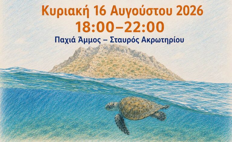 Γιορτή θαλάσσιας χελώνας στον Σταυρό Ακρωτηρίου: Δράση για την προστασία του περιβάλλοντος
