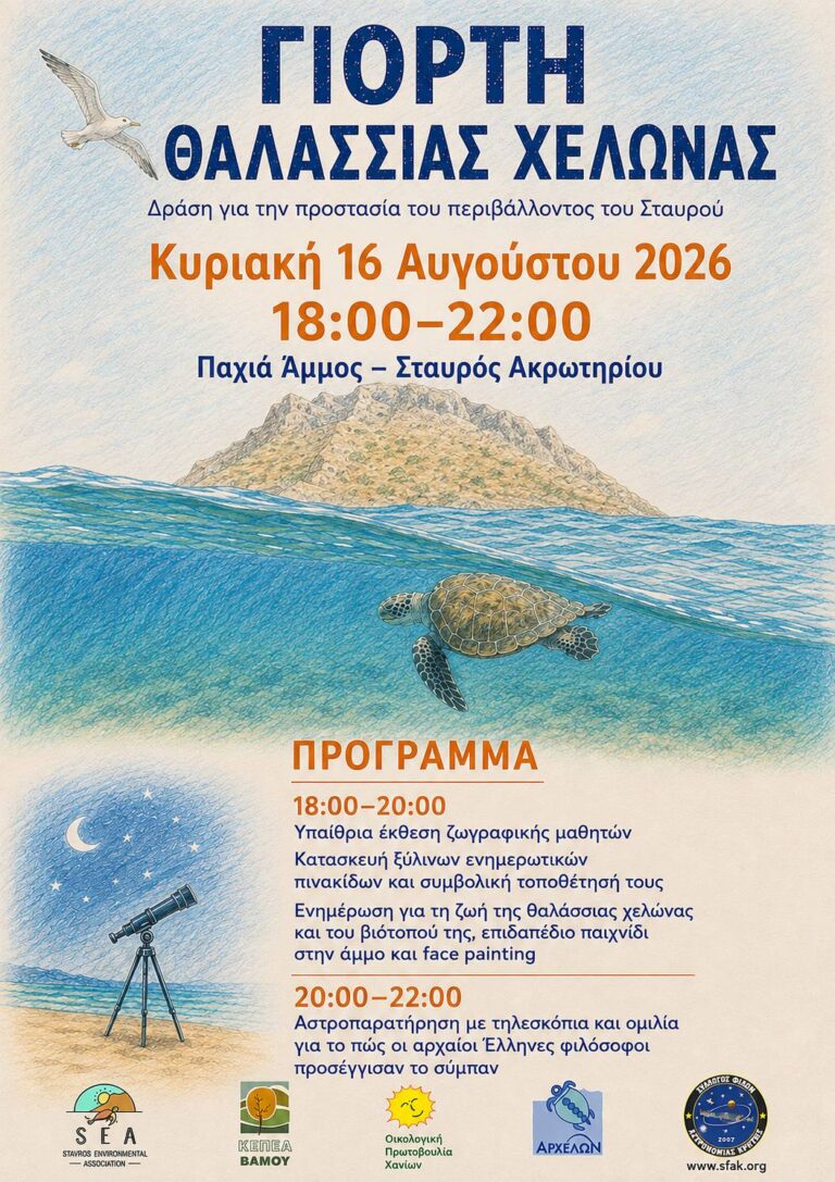 Γιορτή θαλάσσιας χελώνας στον Σταυρό: Δράση για την προστασία του περιβάλλοντος στις 16 Αυγούστου