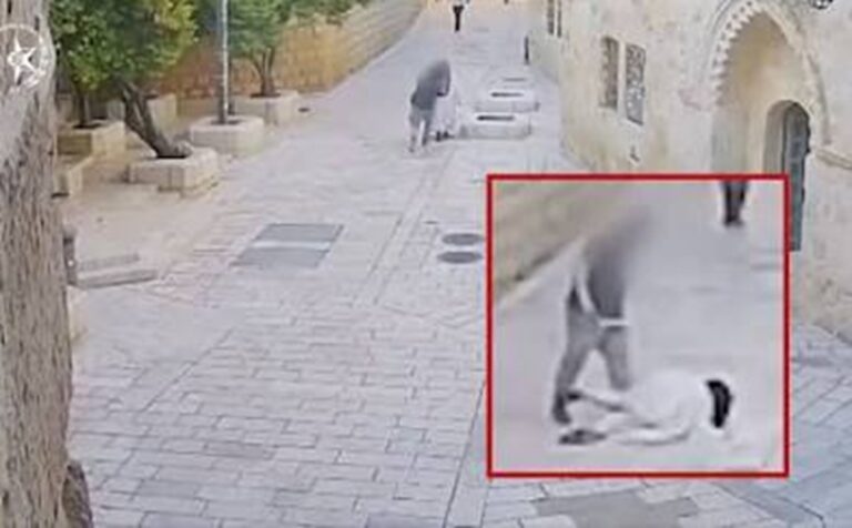 O Ισραηλινός έποικος που επιτέθηκε σε Χριστιανή μοναχή αθωώθηκε – Το δικαστήριο πείστηκε ότι βρισκόταν σε ψυχωσική κατάσταση για πολλά χρόνια και δεν είχε επίγνωση της ασθένειάς του