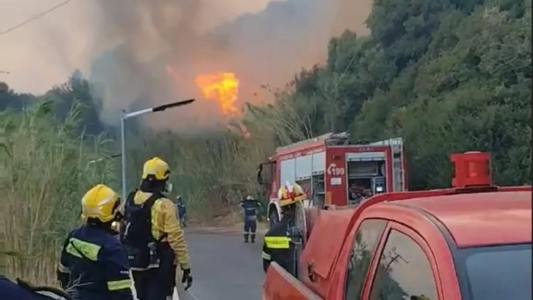 Φωτιά στα Σελλιά: Σήμερα απολογείται ο 35χρονος Ισραηλινός
