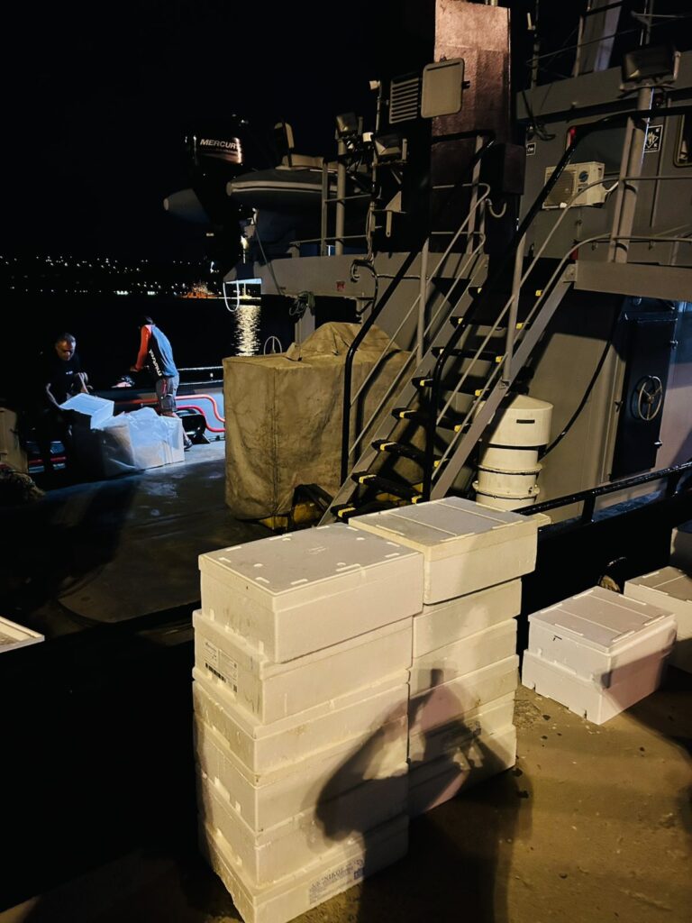 Επιχείρηση του Λιμενικού στη Σούδα: Σύλληψη δύο ατόμων για συστηματική κλοπή αλιευμάτων από το ΕΛΚΕΘΕ — Ζημιά άνω των 10.000 ευρώ