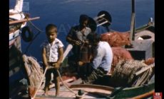 Καλοκαίρι του 1965 στο Ψαρολίμανο της Κισσάμου